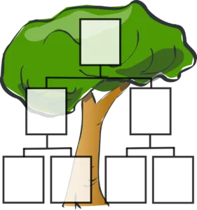drzewo genealogiczne jak zrobić
